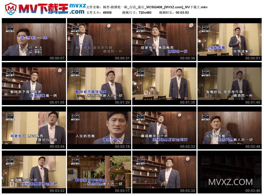 杨哲-烧酒乾一杯_台语_流行_MC502408